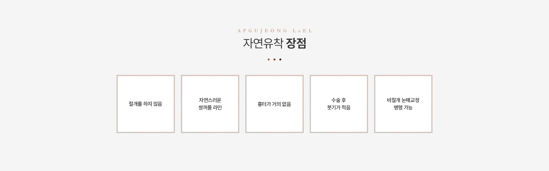 쌍꺼풀 자연유착장점