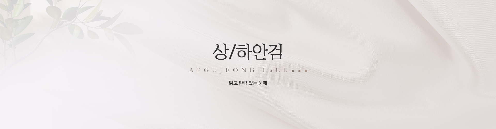 상/하안검 키비주얼