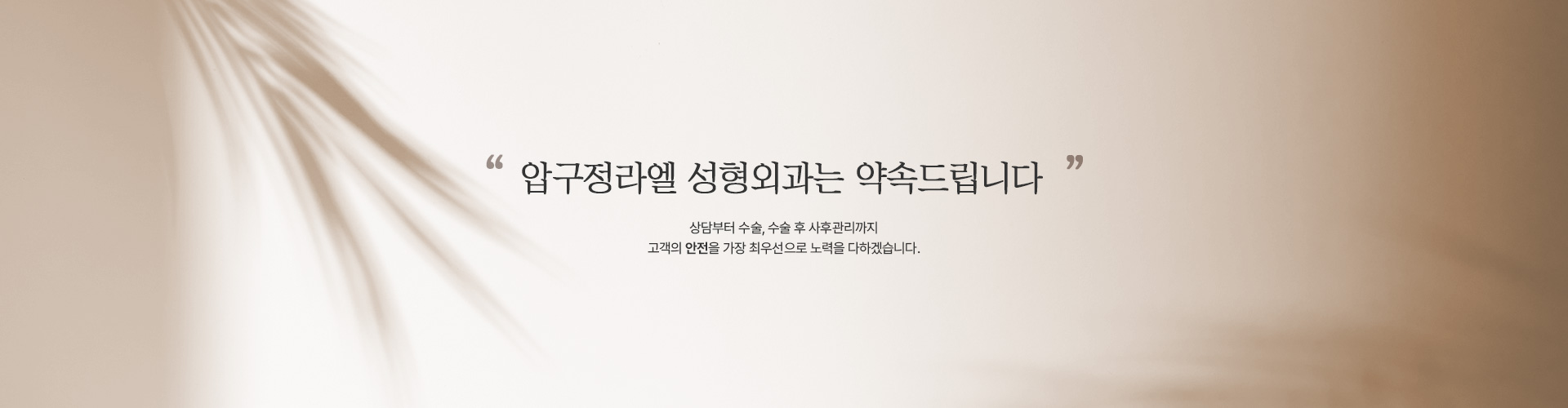 상/하안검 