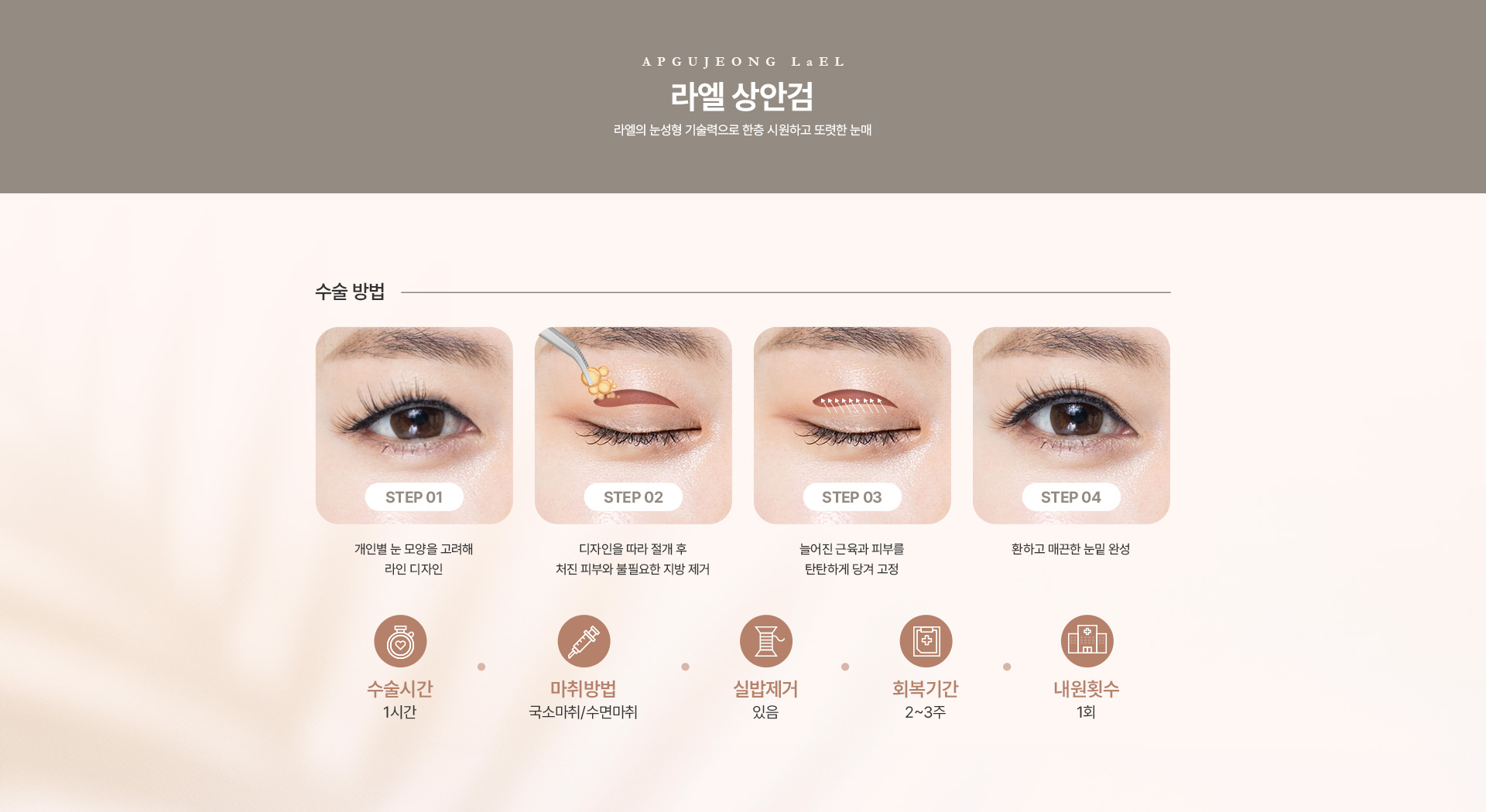 상/하안검 상안검