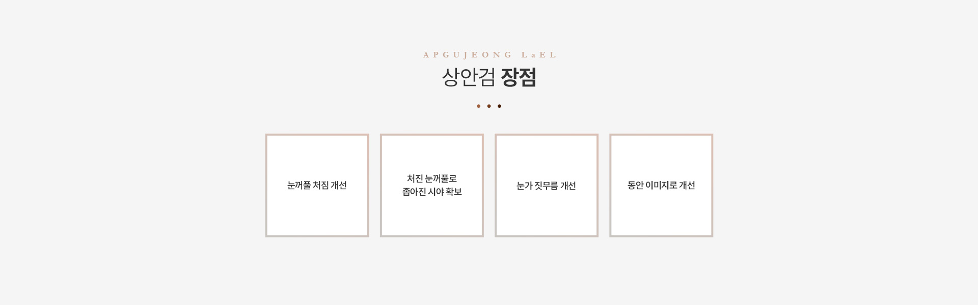 상/하안검 상안검장점