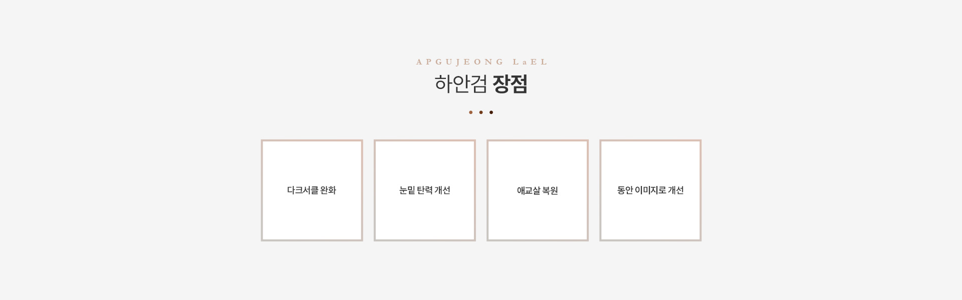 상/하안검 하안검장점