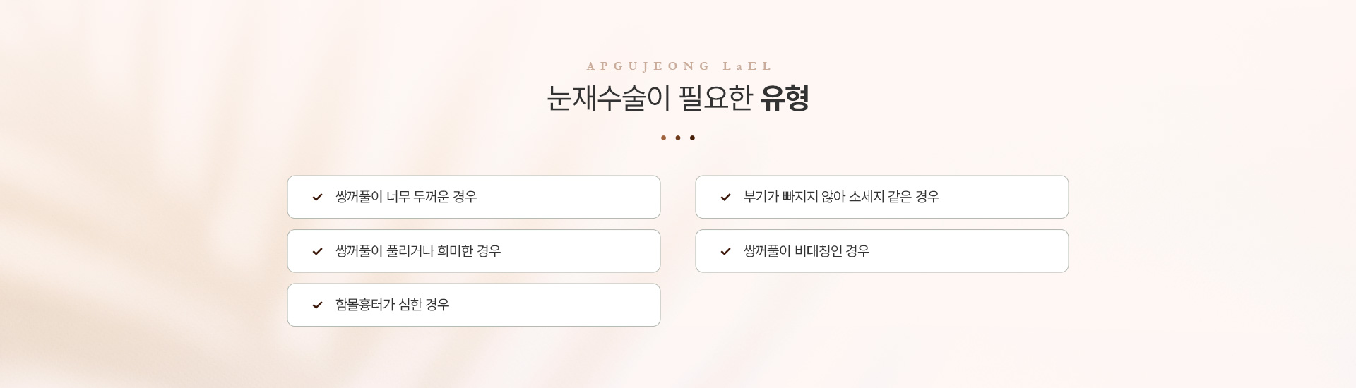 눈재수술 추천대상
