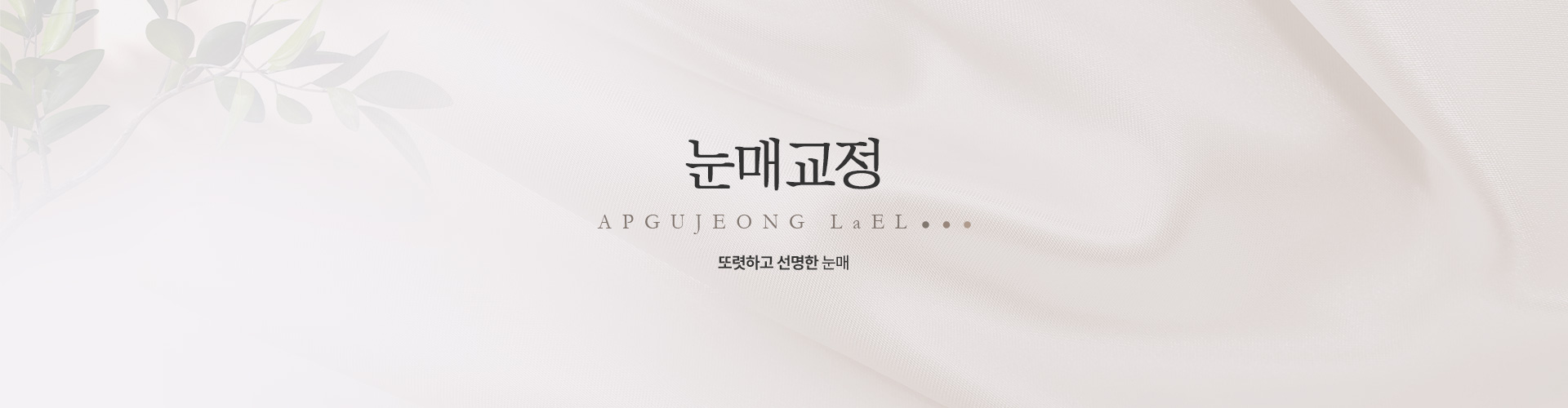 눈매교정 키비주얼