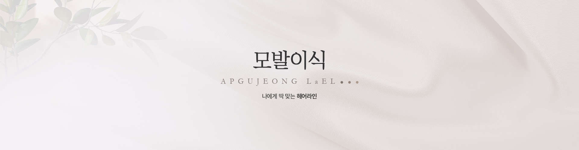 모발이식 키비주얼