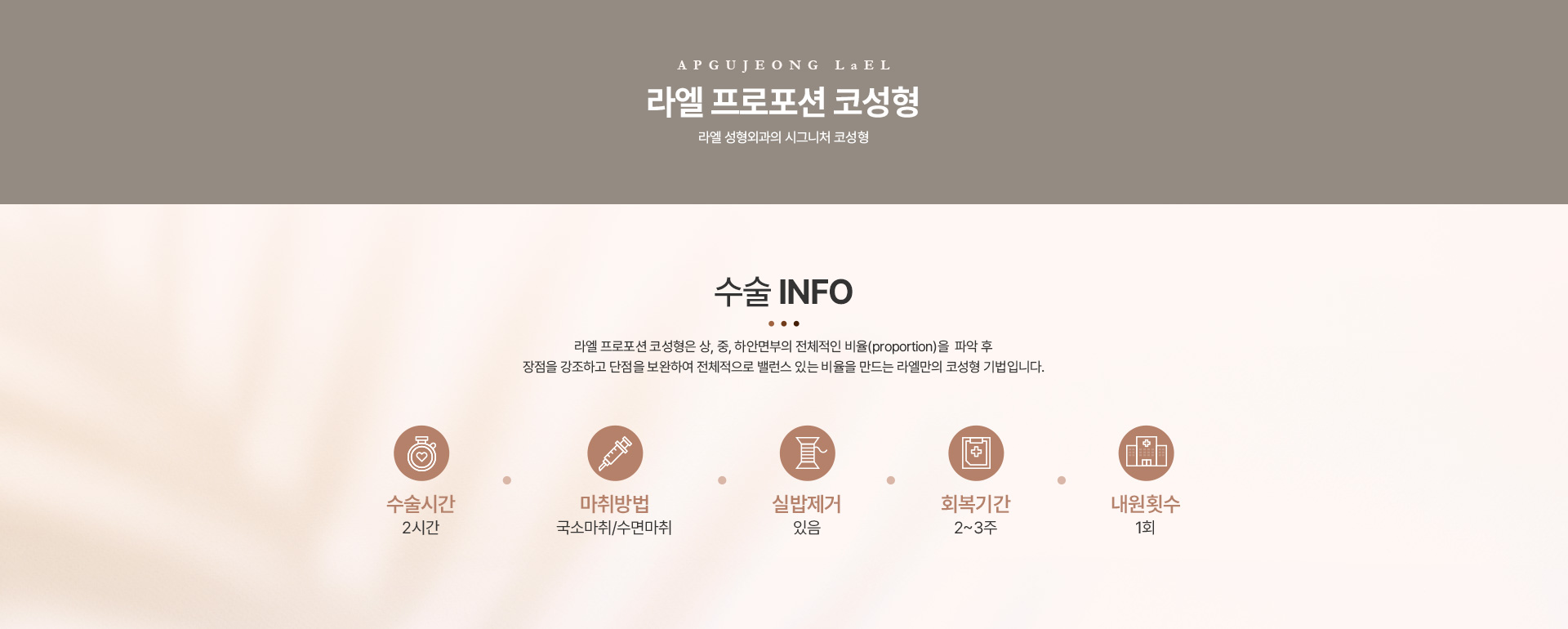 코성형 수술정보