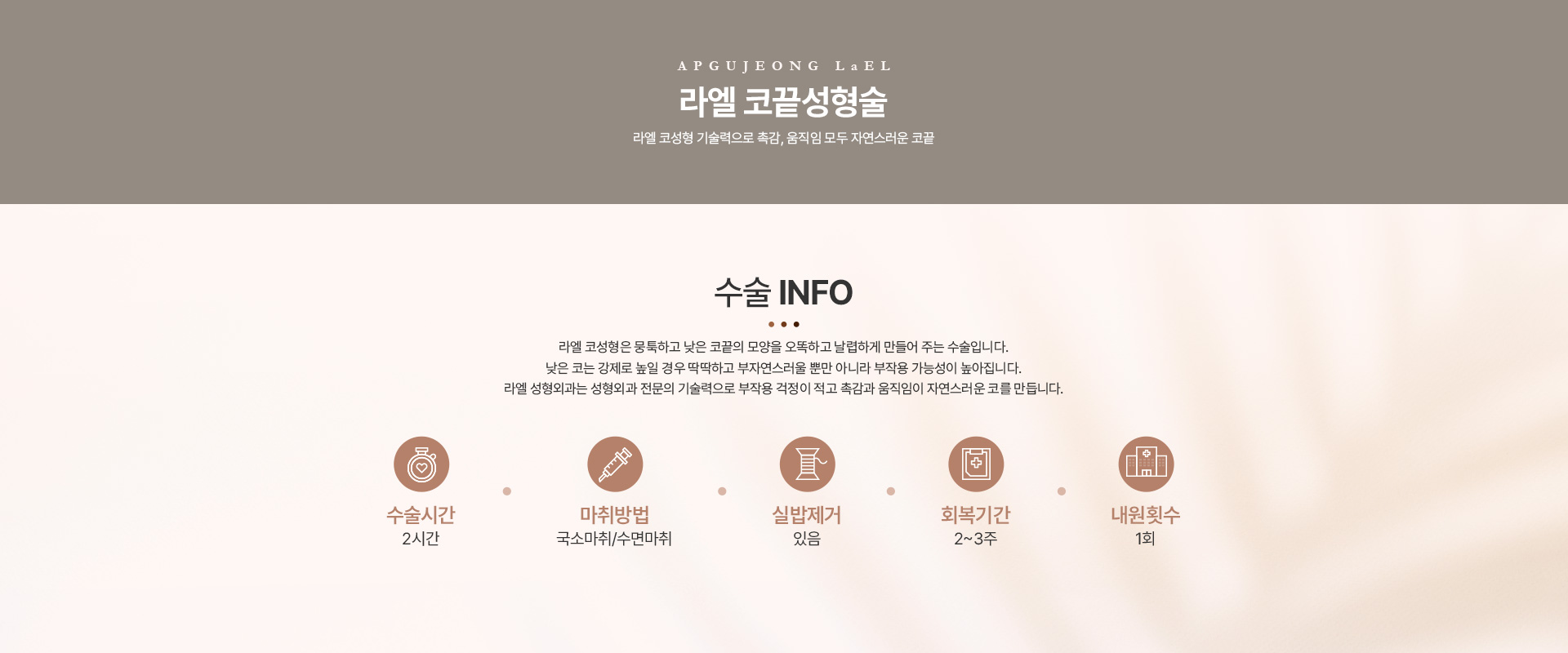 코성형 코끝성형술