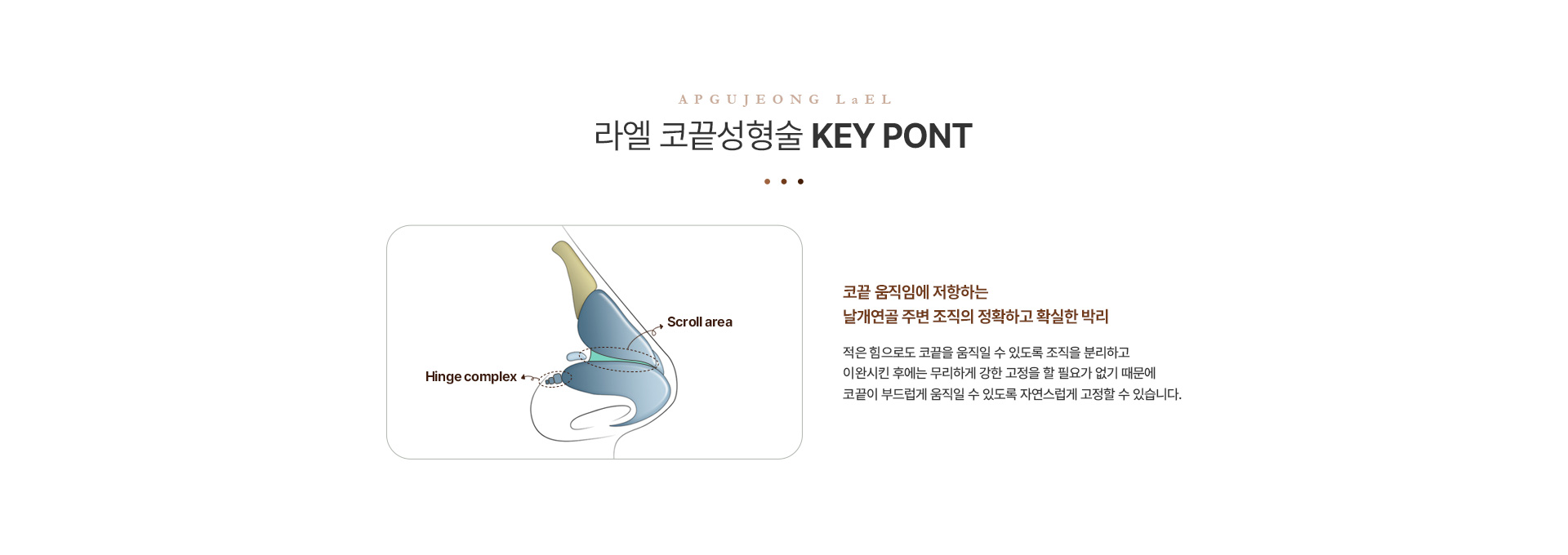 코성형 코끝성형술키포인트