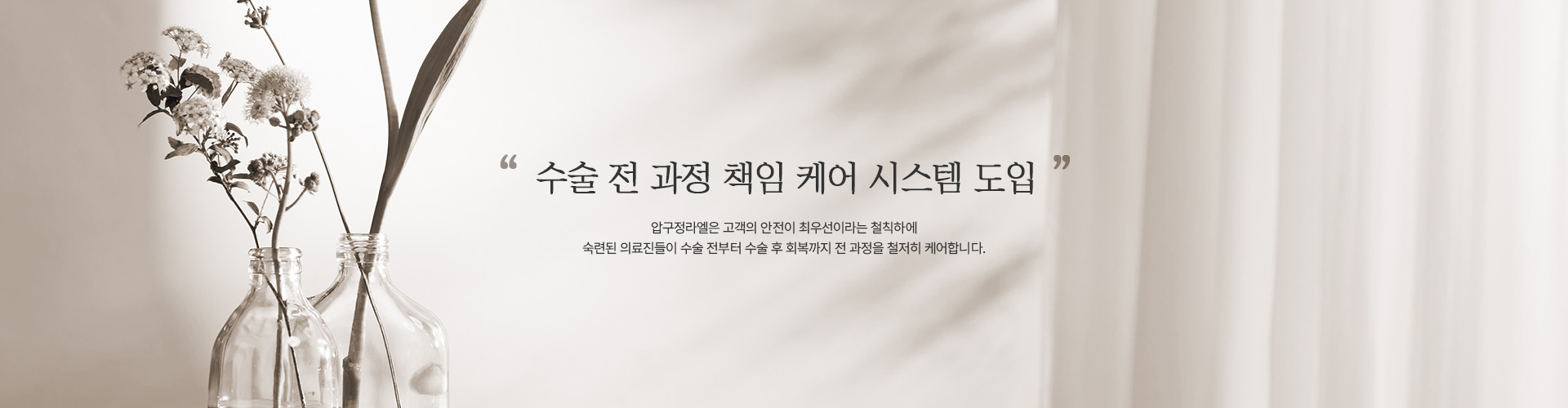 코성형 
