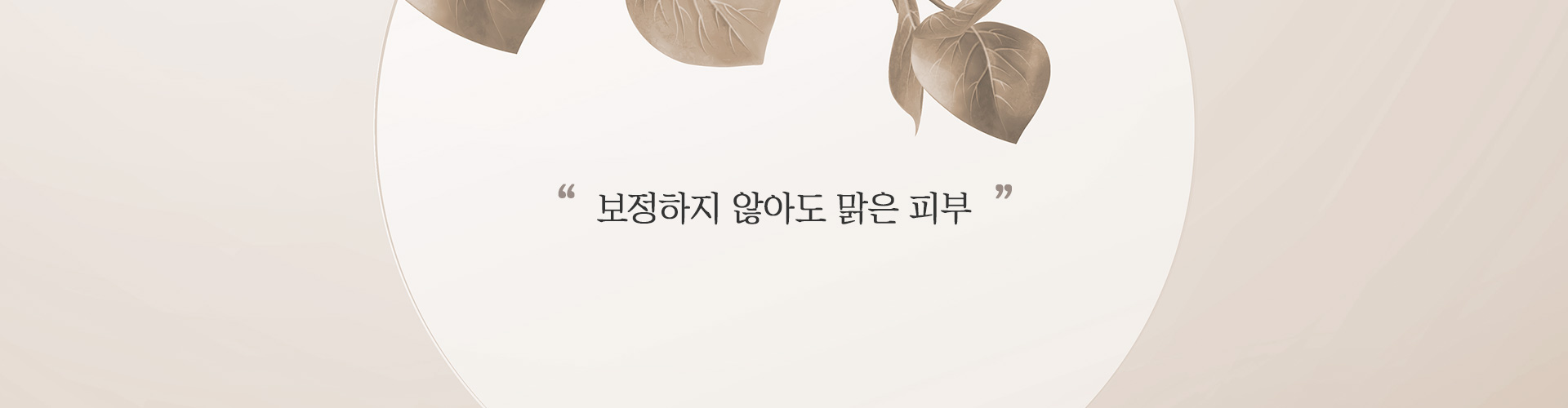 기미색소 