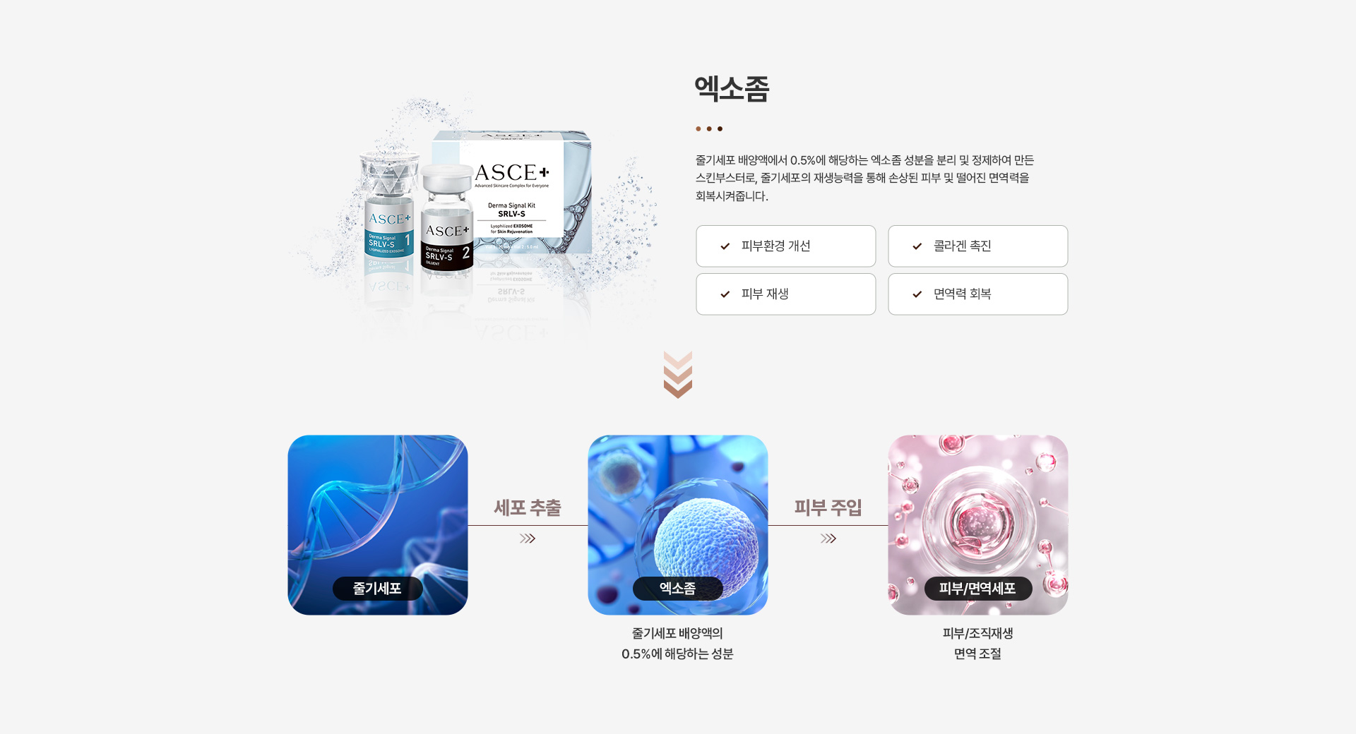 스킨부스터 엑소좀