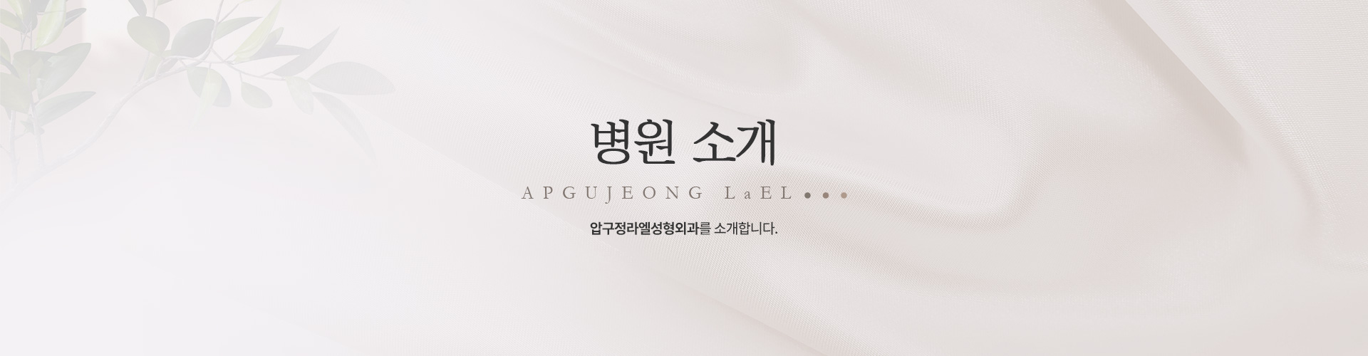 병원소개 정의