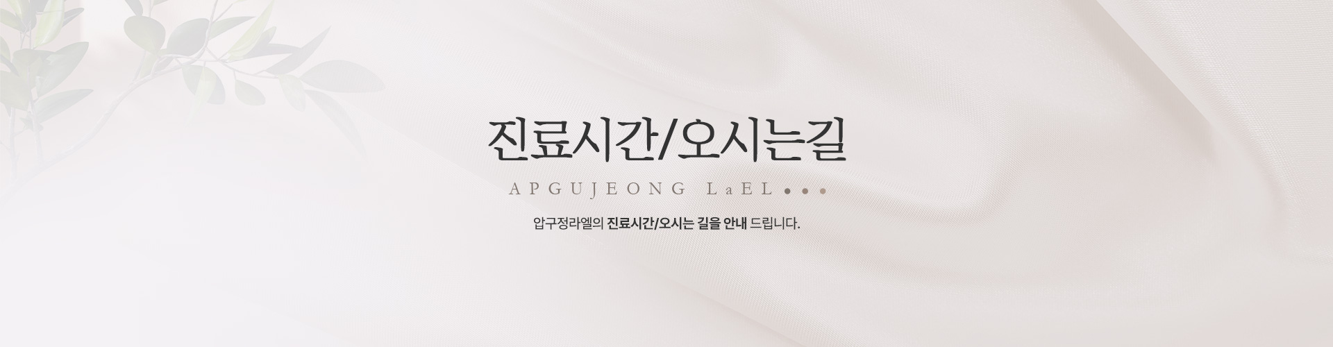 요시는길 키비주얼